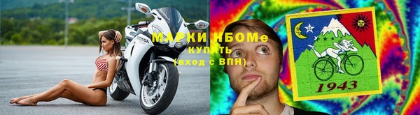 шишки Абаза