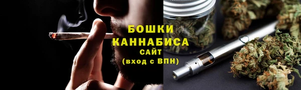 шишки Абаза