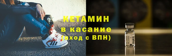 шишки Абаза