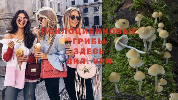 гидропоника Абинск