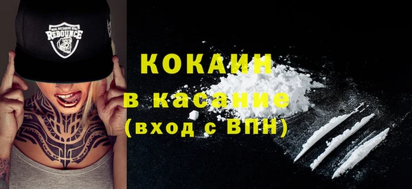 шишки Абаза