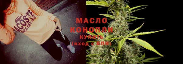 шишки Абаза