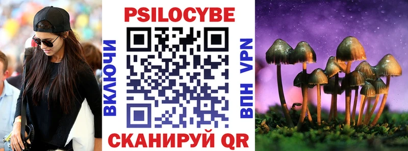 хочу Сокол Псилоцибиновые грибы Cubensis